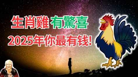 屬雞今年運勢|生肖雞: 性格，愛情，2024運勢，生肖1993，2005，2017